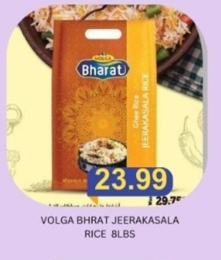 VOLGA Jeerakasala Rice available at Majestic Supermarket in UAE - Abu Dhabi