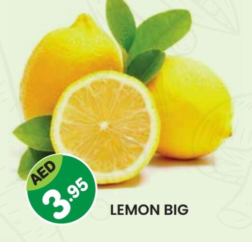 Lemon available at Baniyas Spike  in UAE - Umm al Quwain