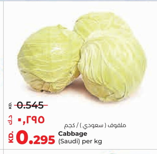 Cabbage from Saudi Arabia available at لولو هايبر ماركت in الكويت - مدينة الكويت