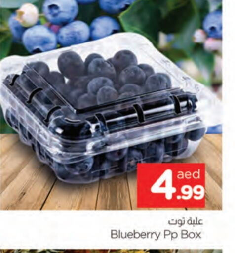 Berries available at AL MADINA in UAE - Sharjah / Ajman