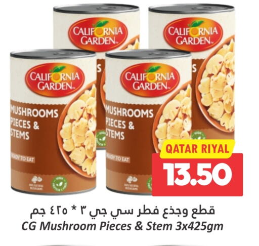 CALIFORNIA GARDEN available at Dana Hypermarket in Qatar - Al Wakra