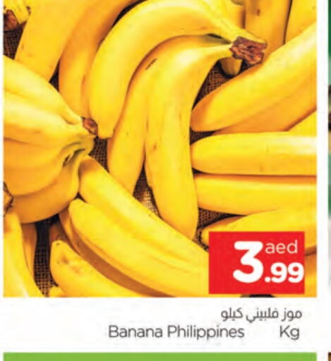 Banana from Philippines available at AL MADINA in UAE - Sharjah / Ajman