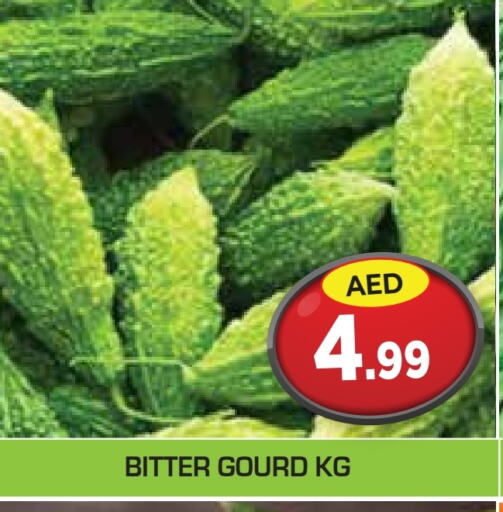 Gourd available at Baniyas Spike  in UAE - Abu Dhabi