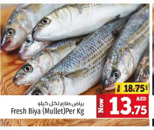 available at Kenz Hypermarket in UAE - Sharjah / Ajman