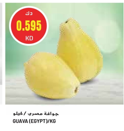 جوافة from Egypt available at جراند كوستو in الكويت - محافظة الأحمدي