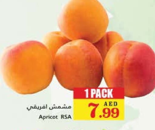 Apricot available at تروليز سوبرماركت in الإمارات العربية المتحدة , الامارات - الشارقة / عجمان