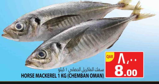 available at Marza Hypermarket in Qatar - Al Rayyan