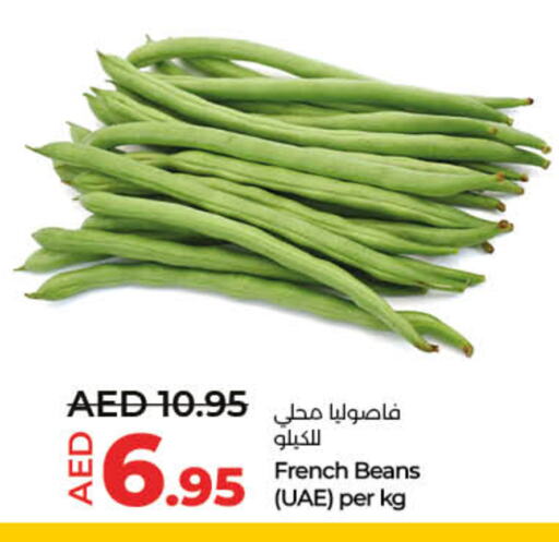 Beans from France available at Lulu Hypermarket in UAE - Sharjah / Ajman