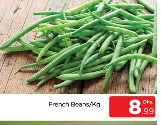 Beans from France available at AL MADINA (Dubai) in UAE - Dubai