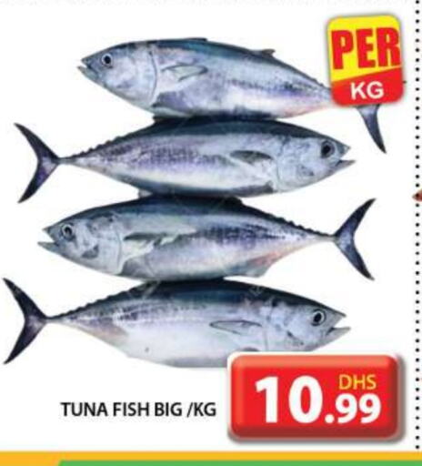 Tuna available at Grand Hyper Market in UAE - Dubai