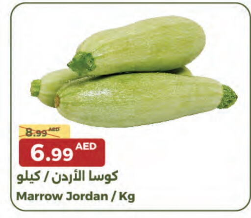 Marrow from Jordan available at Emirates Co-Operative Society in UAE - Dubai