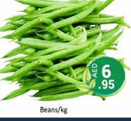 Beans available at PASONS GROUP in UAE - Dubai