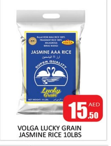 VOLGA Jasmine Rice available at Al Madina  in UAE - Sharjah / Ajman