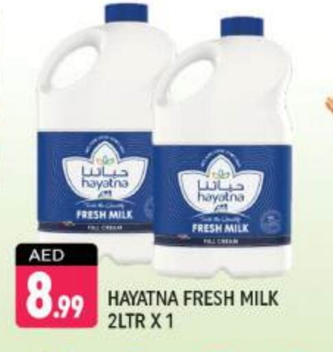 HAYATNA Fresh Milk available at Shaklan  in UAE - Dubai