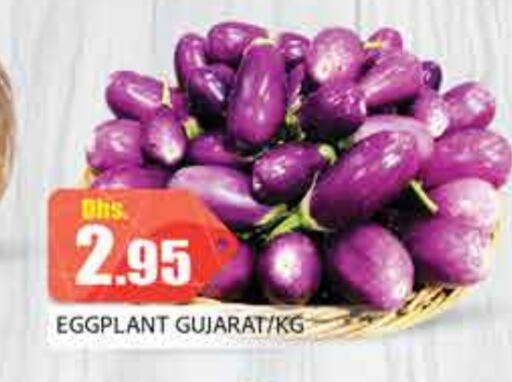 Eggplant available at PASONS GROUP in UAE - Dubai