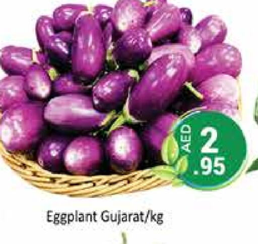 Eggplant available at PASONS GROUP in UAE - Dubai