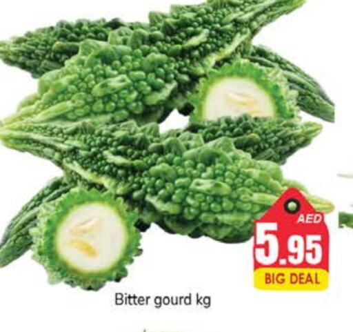 Bitter Gourd available at PASONS GROUP in UAE - Dubai