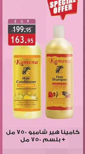 Shampoo / Conditioner available at Al Rayah Market   in Egypt - Cairo