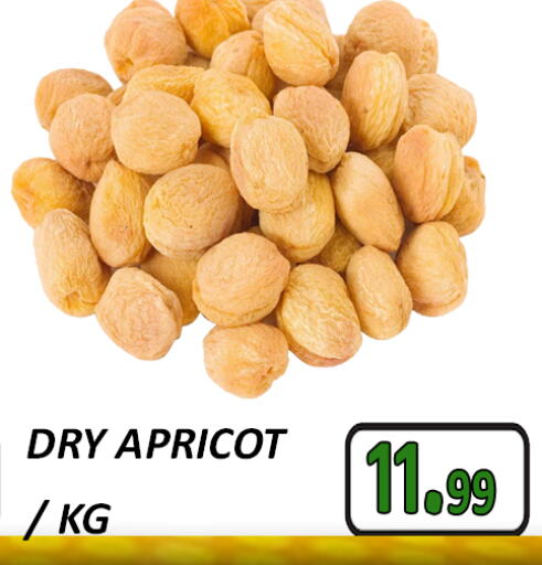 Apricot available at GRAND MAJESTIC HYPERMARKET in UAE - Abu Dhabi