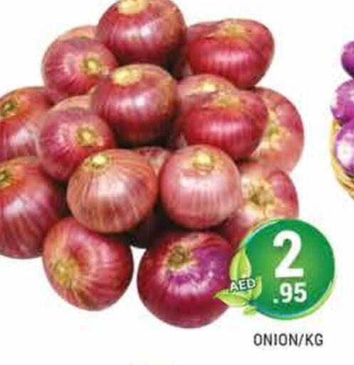 Onion available at PASONS GROUP in UAE - Dubai