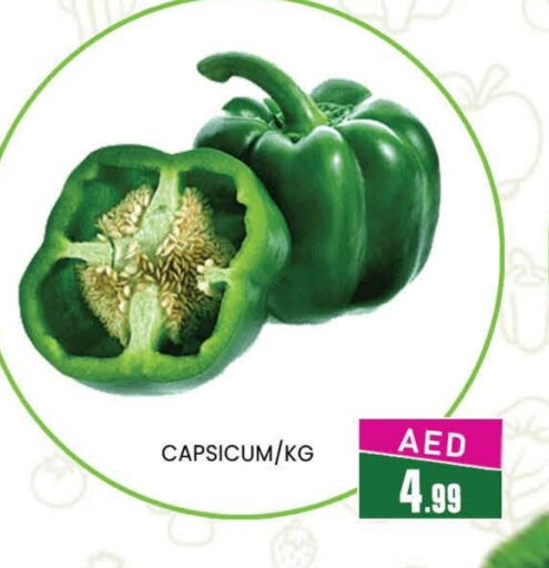 Chilli / Capsicum available at AL MADINA (Dubai) in UAE - Dubai