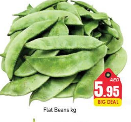 Beans available at PASONS GROUP in UAE - Dubai