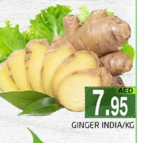 Ginger from India available at PASONS GROUP in UAE - Dubai