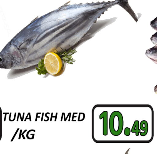 Tuna available at GRAND MAJESTIC HYPERMARKET in UAE - Abu Dhabi