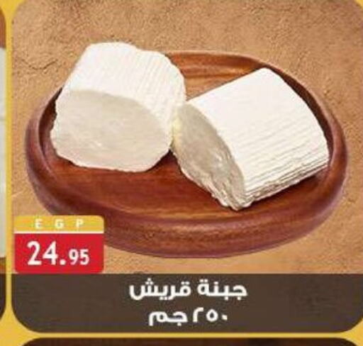 available at الرايه  ماركت in Egypt - القاهرة