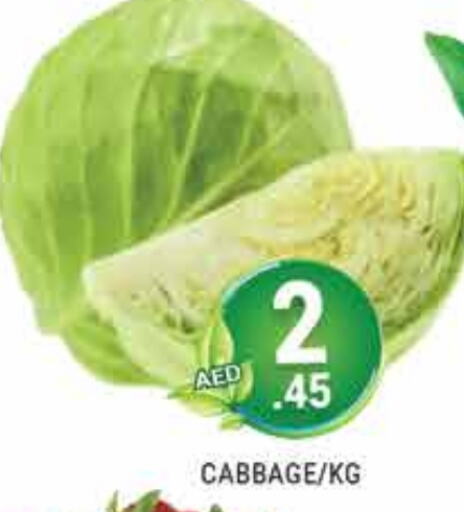 Cabbage available at PASONS GROUP in UAE - Dubai