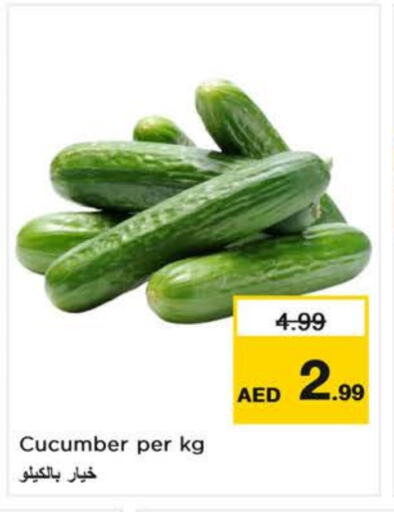 Cucumber available at Last Chance  in UAE - Sharjah / Ajman