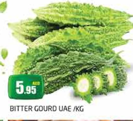 Bitter Gourd available at PASONS GROUP in UAE - Dubai