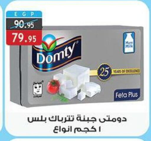 DOMTY Feta available at Al Rayah Market   in Egypt - Cairo