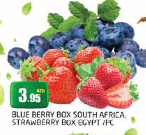 Strawberry from South Africa Egypt available at PASONS GROUP in UAE - Dubai