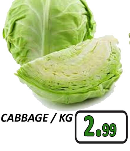 Cabbage available at GRAND MAJESTIC HYPERMARKET in UAE - Abu Dhabi