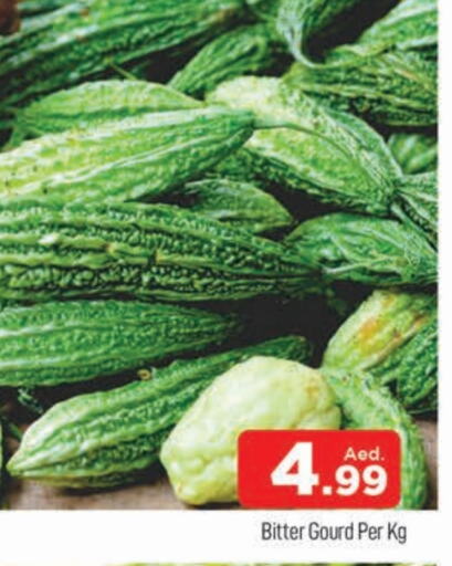 Bitter Gourd available at AL MADINA (Dubai) in UAE - Dubai