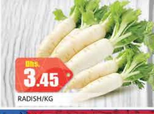 Radish available at PASONS GROUP in UAE - Dubai