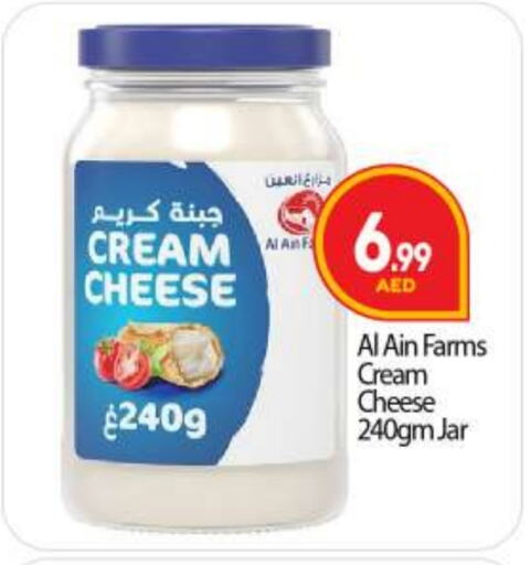 AL AIN Cream Cheese available at BIGmart in UAE - Dubai