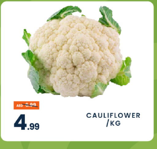 Cauliflower available at مدهور سوبرماركت in الإمارات العربية المتحدة , الامارات - دبي