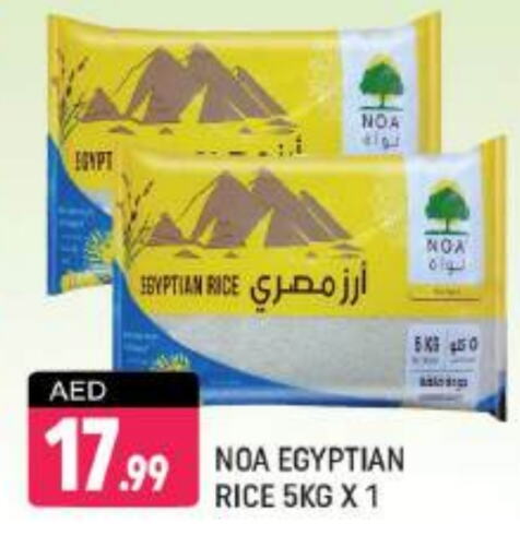 Calrose Rice available at Shaklan  in UAE - Dubai