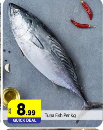 Tuna available at BIGmart in UAE - Abu Dhabi