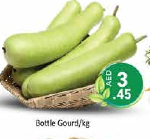 Gourd available at PASONS GROUP in UAE - Dubai