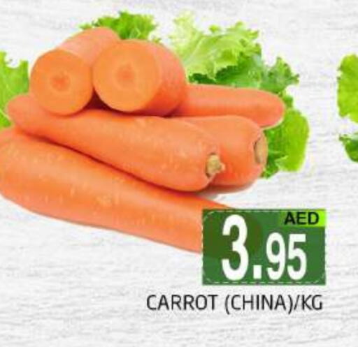 Carrot from China available at PASONS GROUP in UAE - Dubai