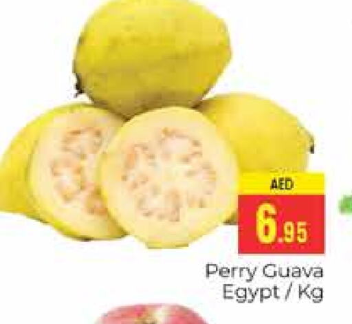 Guava from Egypt available at PASONS GROUP in UAE - Dubai