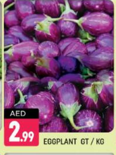 Eggplant available at شكلان ماركت in الإمارات العربية المتحدة , الامارات - دبي