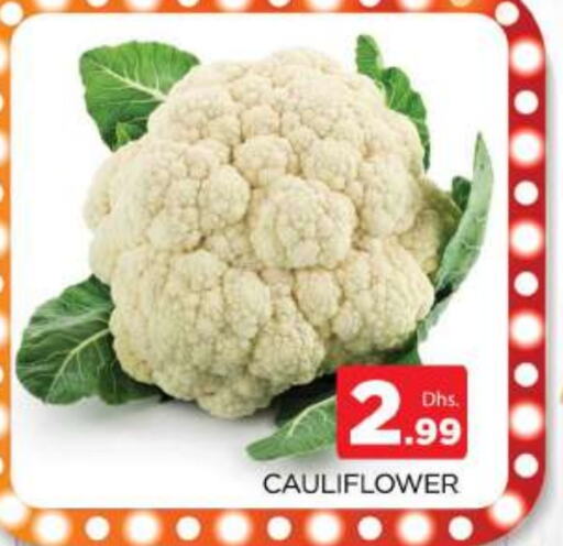 Cauliflower available at AL MADINA (Dubai) in UAE - Dubai