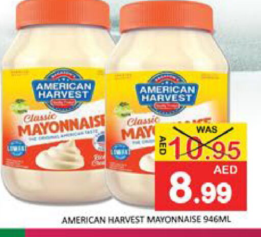 Mayonnaise available at Mango Hypermarket LLC in UAE - Dubai