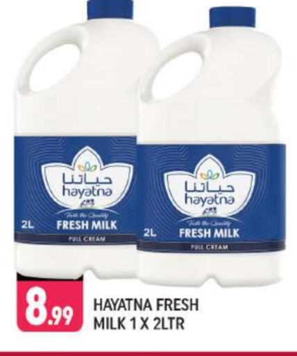 HAYATNA Fresh Milk available at Shaklan  in UAE - Dubai