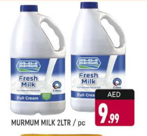 MARMUM Full Cream Milk available at AL MADINA (Dubai) in UAE - Dubai