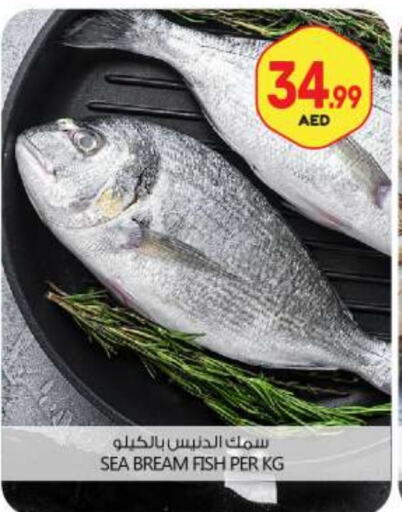 available at BIGmart in UAE - Abu Dhabi